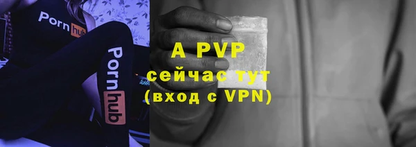 мдпв Великий Новгород