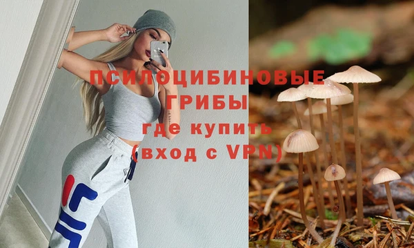шишки Лихославль