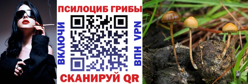 Галлюциногенные грибы прущие грибы  это клад  Лермонтов 