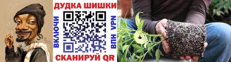 mega как зайти  сайты даркнета клад  Лермонтов  МАРИХУАНА ГИДРОПОН  купить наркотики сайты 